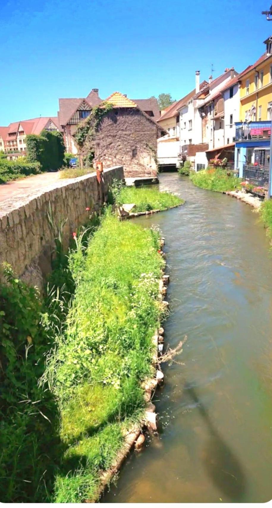 L'Atypique Des Remparts Villa อ็องซิแซ็ง ภายนอก รูปภาพ